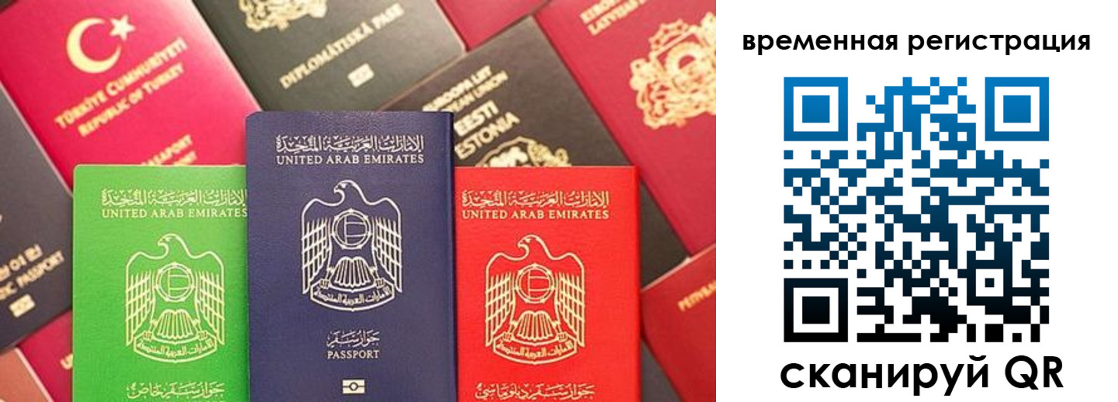 временная регистрация гарантия в Талице